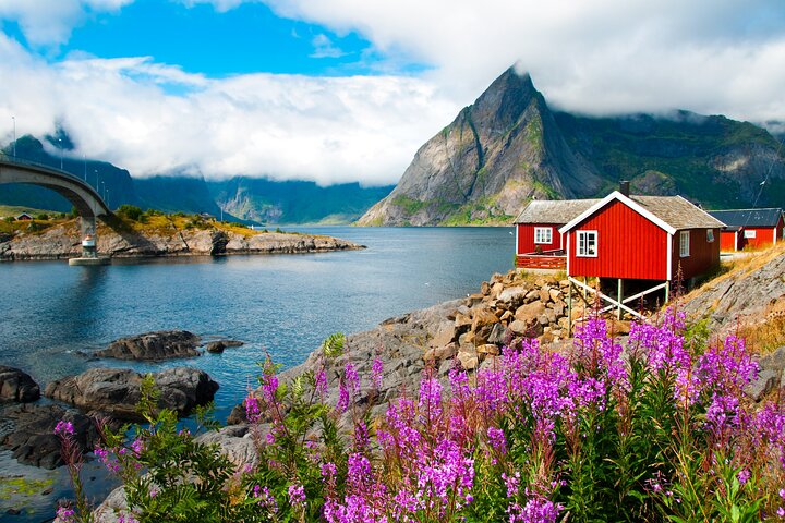 Shore Excursion Full day Private Tour in Lofoten
