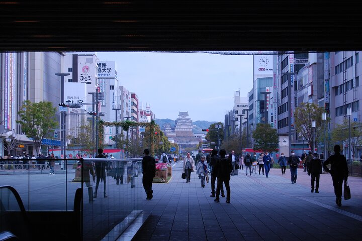 Explore Himeji Castle a Guided Walking Tour