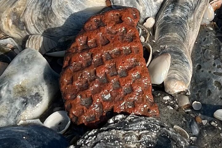 Barrier Island Drop-Off Fossil Hunting Adventure!