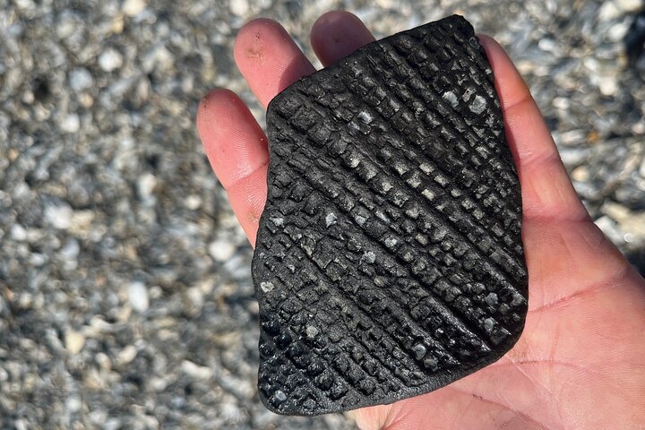 Barrier Island Drop-Off Fossil Hunting Adventure!