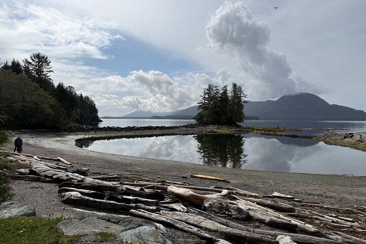 Alaska Wildlife Safari and Sightseeing Tour