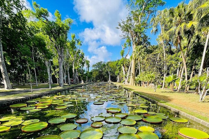 Mauritius North Island Discovery Tour