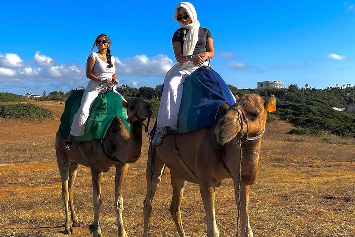Discover Tangier in a Full Day Tour with Camel ride