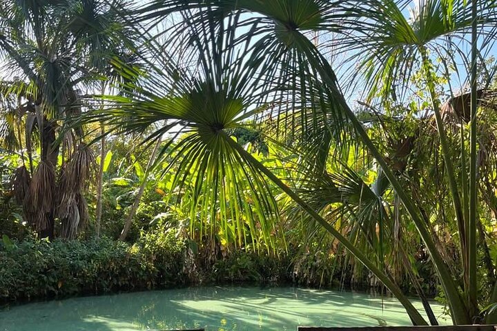 3-Day Tour to the Natural Paradise of Jalapão