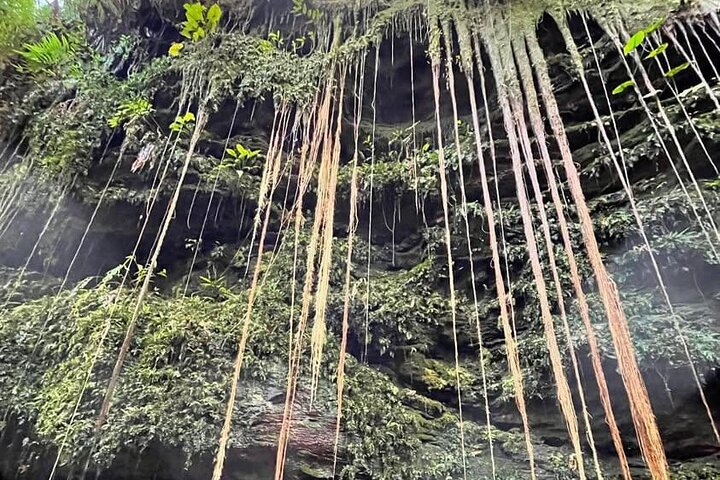 3-Day Tour to the Natural Paradise of Jalapão
