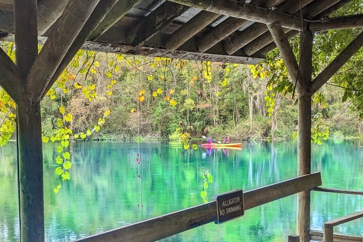 Silver Springs Jungle Kayaking and Paddleboarding