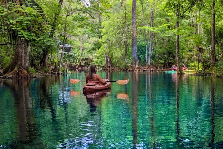 Silver Springs Jungle Kayaking and Paddleboarding