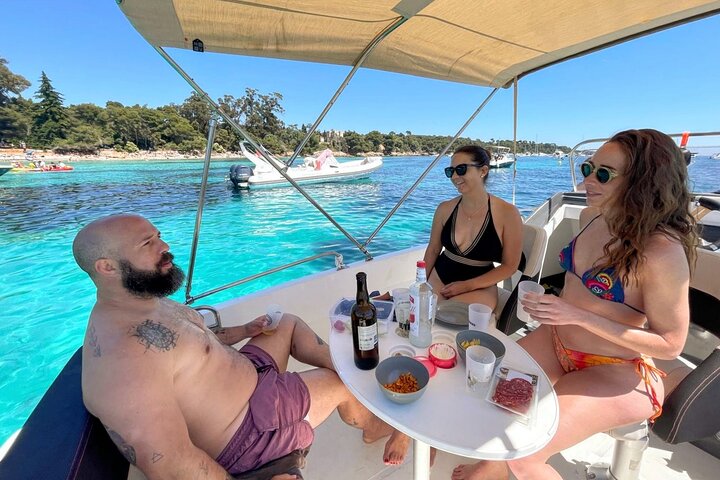 Cannes Excursion to the Lerin Islands by private boat