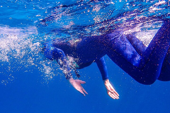 Private 12 Days Philippines Islands Hopping Tour with Cebu
