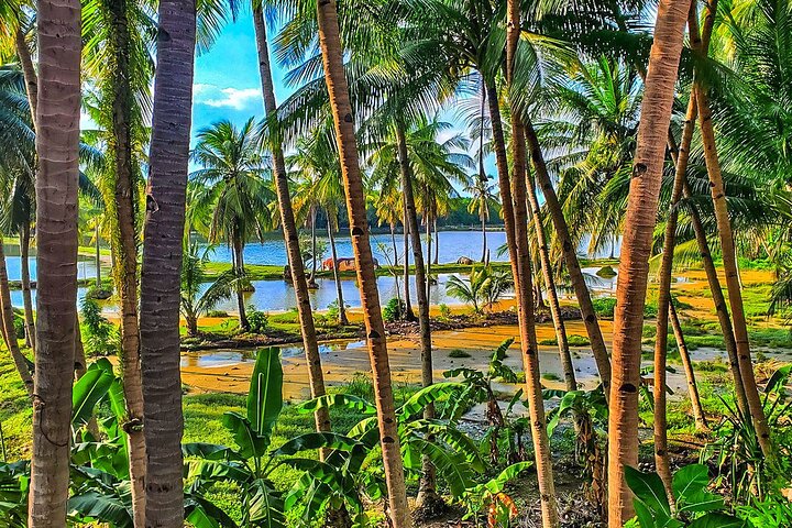 Private 12 Days Philippines Islands Hopping Tour with Cebu