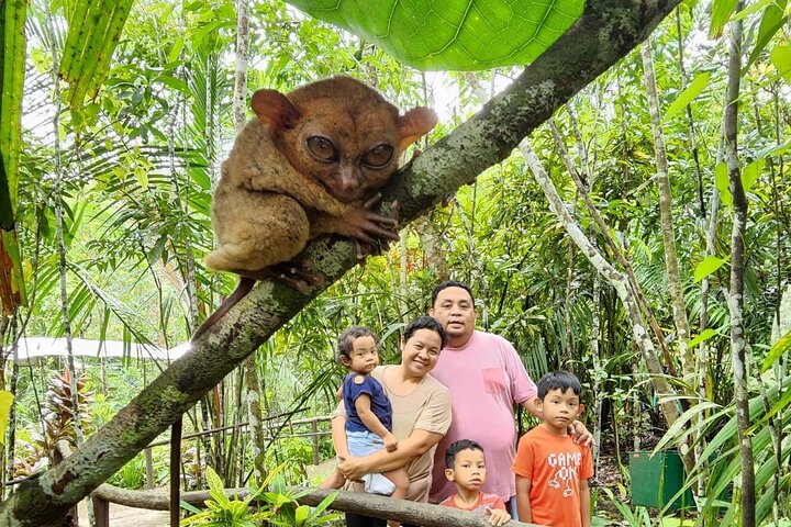 Chocolate Hills and Tarsier Day Tour in Bohol