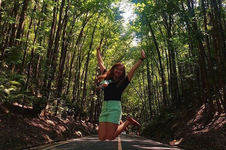 Chocolate Hills and Tarsier Day Tour in Bohol