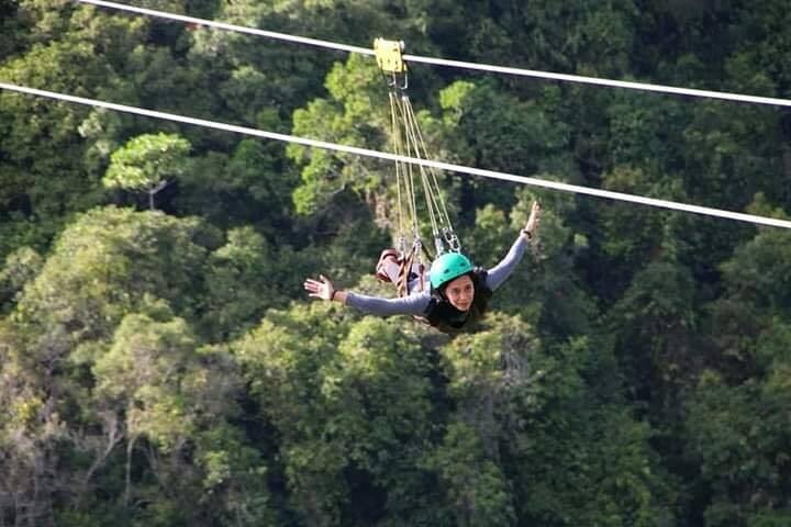 Chocolate Hills and Tarsier Day Tour in Bohol