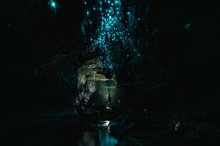 Okohua Glowworm Cave Tour