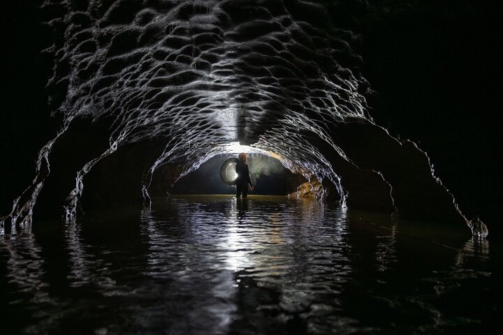 Okohua Glowworm Cave Tour