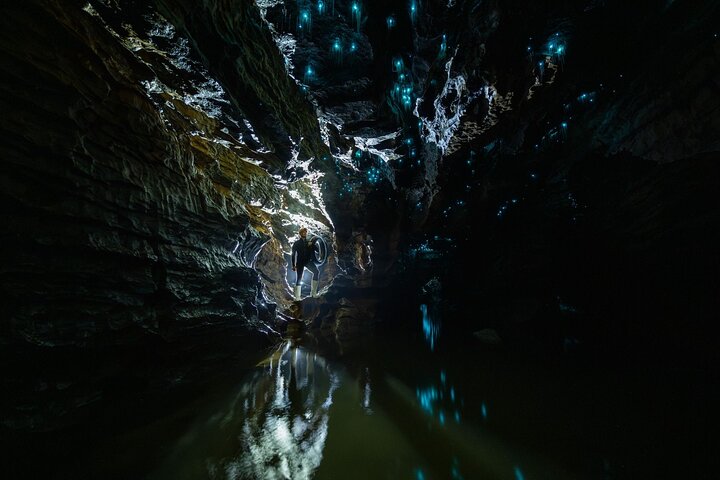 Okohua Glowworm Cave Tour