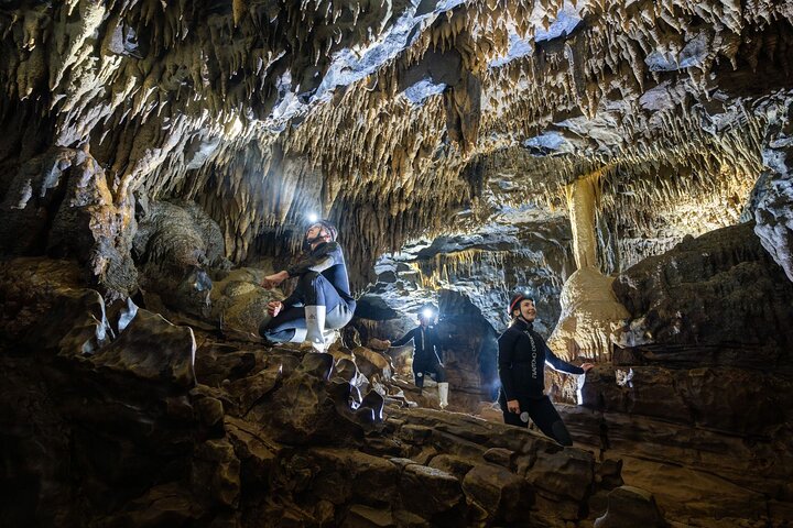 Okohua Glowworm Cave Tour