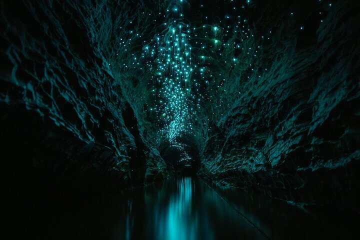 Okohua Glowworm Cave Tour