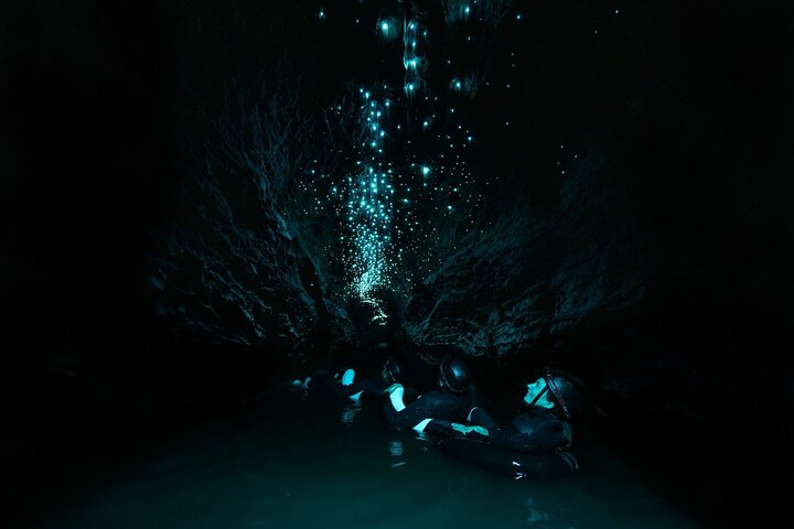 Okohua Glowworm Cave Tour