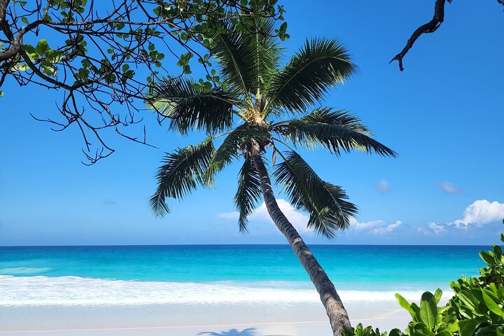 Fond Ferdinand Nature Reserve and Anse Georgette