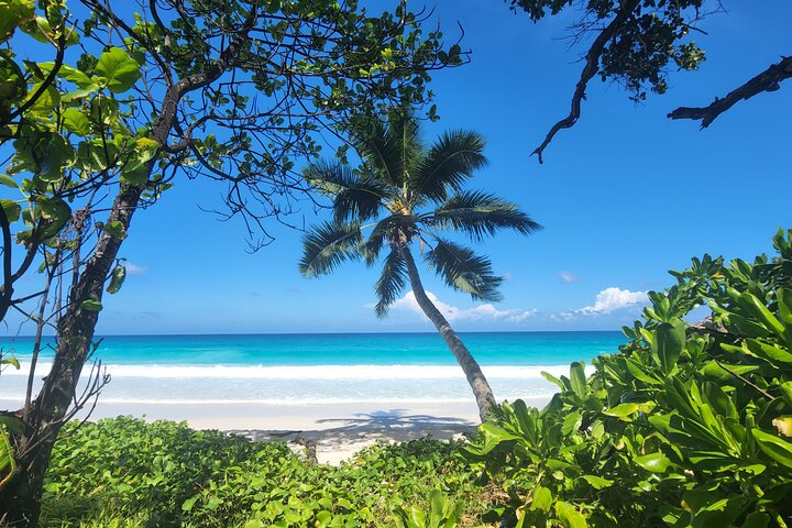 Fond Ferdinand Nature Reserve and Anse Georgette