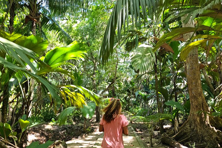 Fond Ferdinand Nature Reserve and Anse Georgette