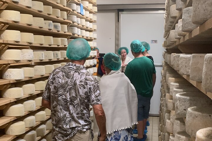 All inclusive Private Prosecco Hills Tour - 2 Wineries and Lunch.