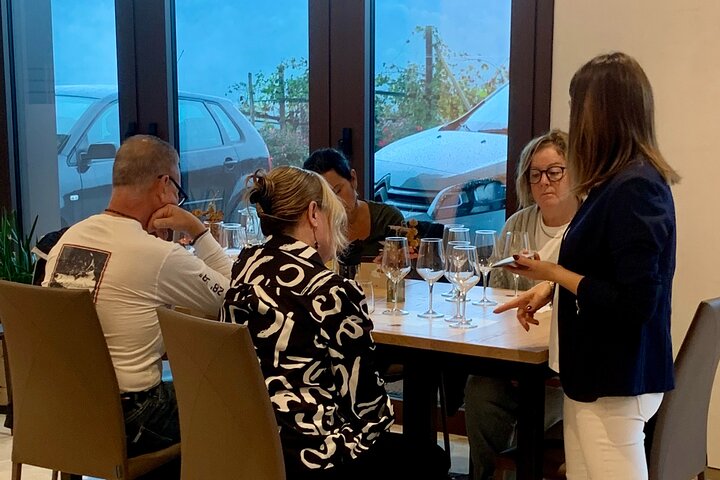 All inclusive Private Prosecco Hills Tour - 2 Wineries and Lunch.