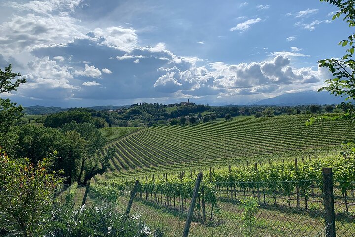 All inclusive Private Prosecco Hills Tour - 2 Wineries and Lunch.