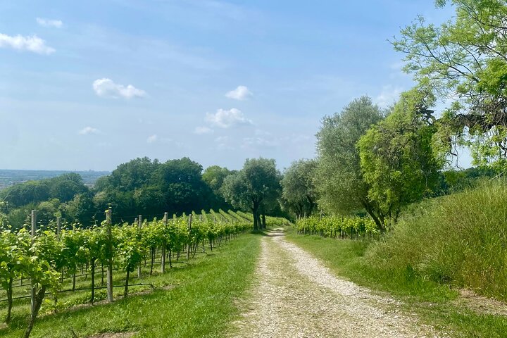All inclusive Private Prosecco Hills Tour - 2 Wineries and Lunch.