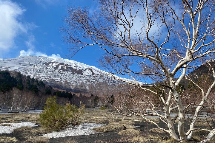 Etna and Wine an experience between nature and aromas with taste.