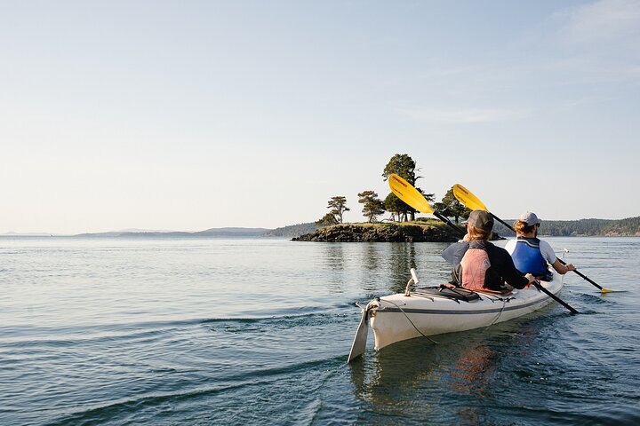 3 Hour Kayaking Tours from Friday Harbor