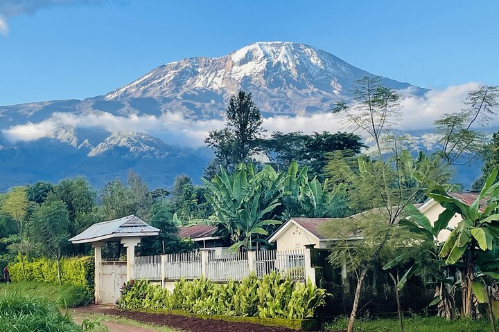 Kilimanjaro Tour: Coffee, Waterfall, Caves, lunch (All Inclusive)