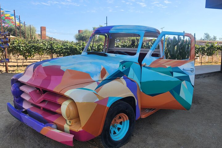 Private Valle de Guadalupe Wine Tour: All Wine Tastings Included