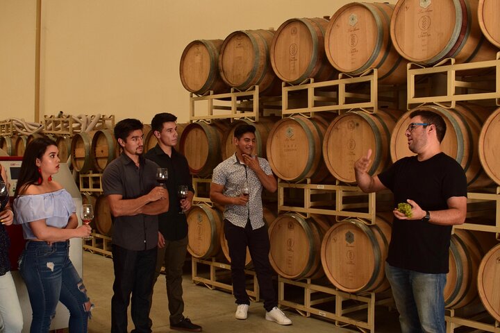 Private Valle de Guadalupe Wine Tour: All Wine Tastings Included