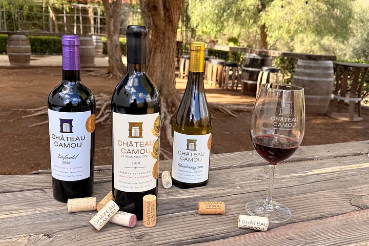 Private Valle de Guadalupe Wine Tour: All Wine Tastings Included