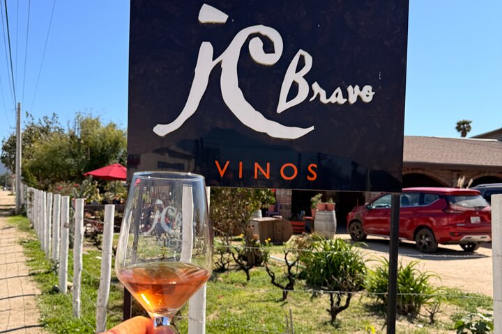Private Valle de Guadalupe Wine Tour: All Wine Tastings Included