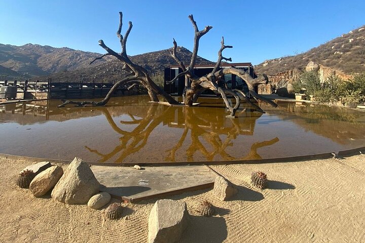 Private Valle de Guadalupe Wine Tour: All Wine Tastings Included