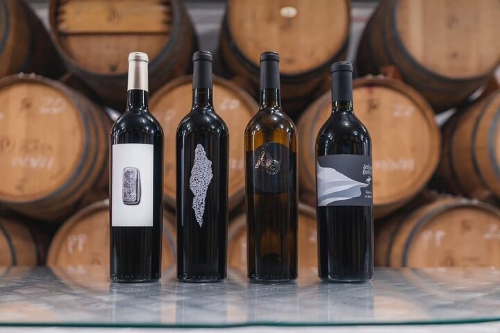 Private Valle de Guadalupe Wine Tour: All Wine Tastings Included