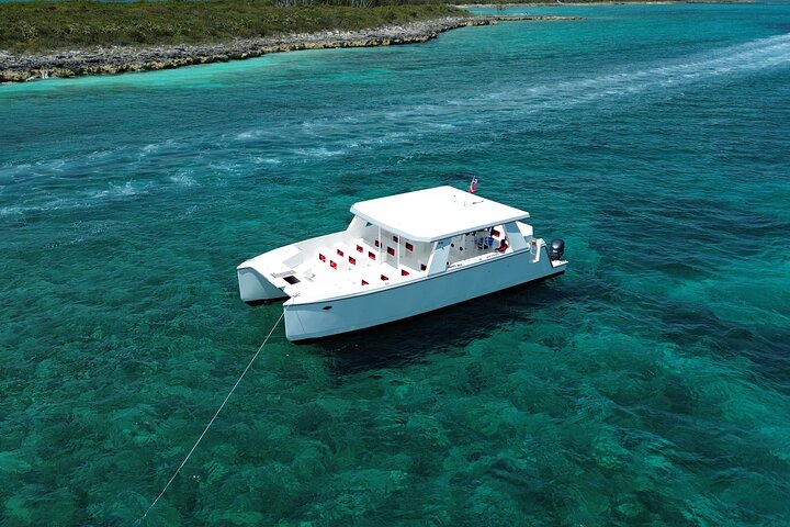Nassau Swimming Pigs: Snorkeling, Lunch & Private Beach Club