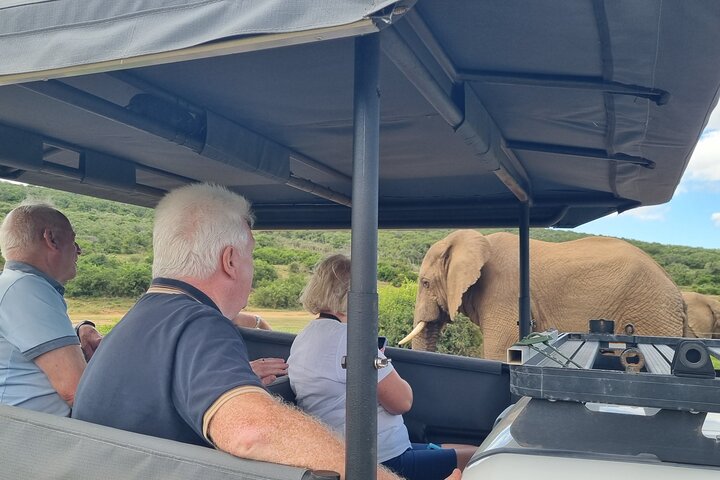 Half-Day Schotia Game Reserve (Open 4x4 Safari Vehicle)