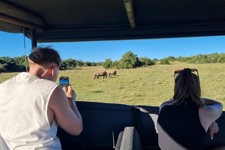 Half-Day Schotia Game Reserve (Open 4x4 Safari Vehicle)