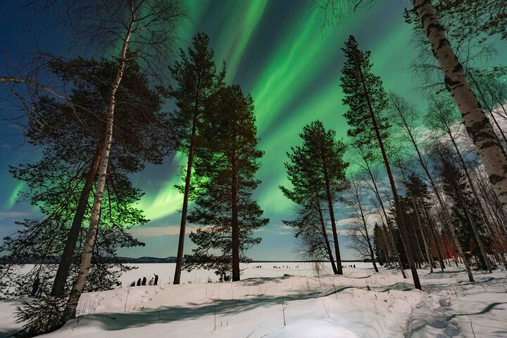 Rovaniemi Northern Lights Photography Small-Group Tour