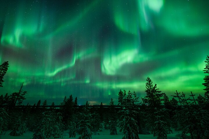 Rovaniemi Northern Lights Photography Small-Group Tour