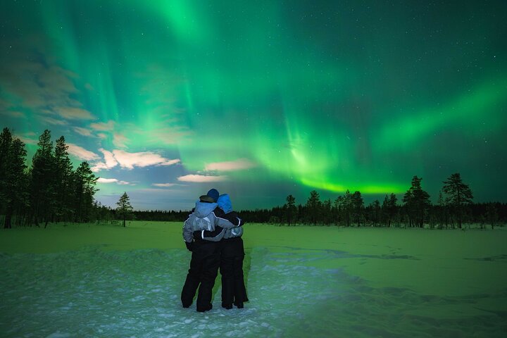 Rovaniemi Northern Lights Photography Small-Group Tour