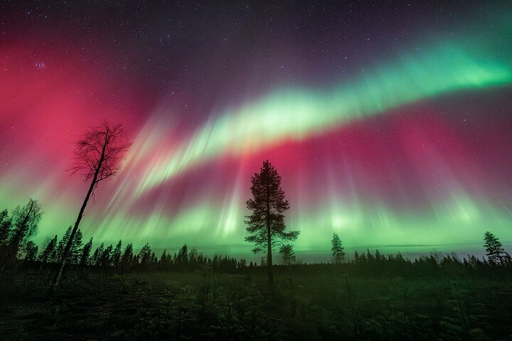 Rovaniemi Northern Lights Photography Small-Group Tour