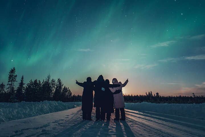 Rovaniemi Northern Lights Photography Small-Group Tour