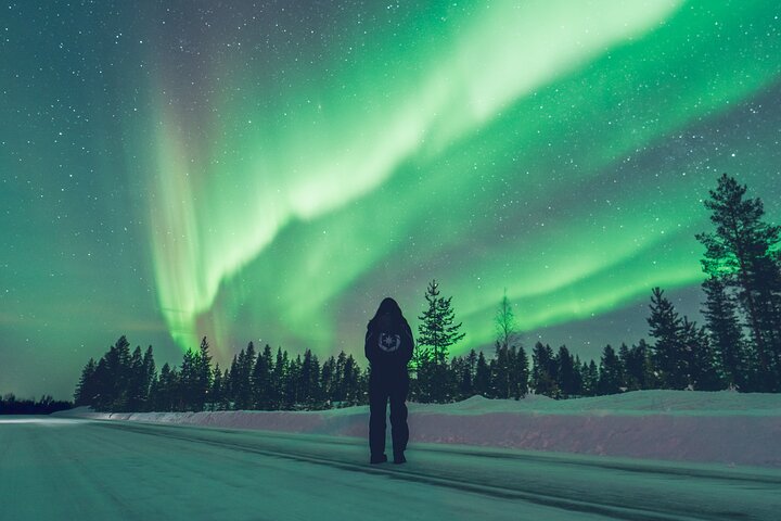 Rovaniemi Northern Lights Photography Small-Group Tour