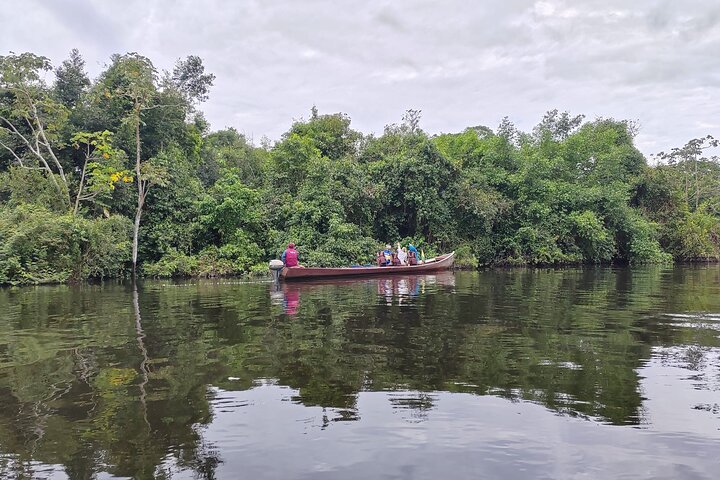 3-Day Yacuma Pampas Wildlife Tour from Rurrenabaque at Eco Lodge