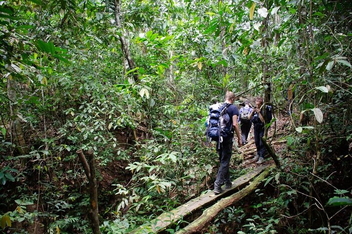3-Day Yacuma Pampas Wildlife Tour from Rurrenabaque at Eco Lodge